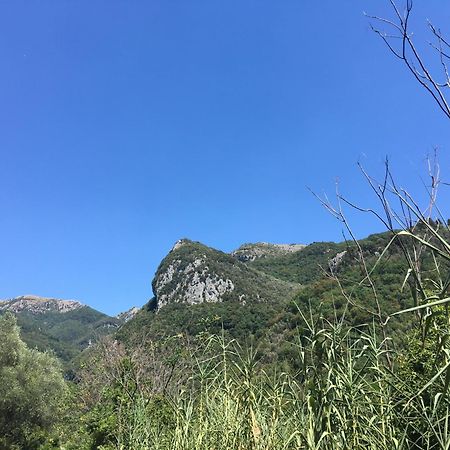 Casa La Wanda - Camaiore Toscana - 2 Bedroom & Terrace Екстериор снимка