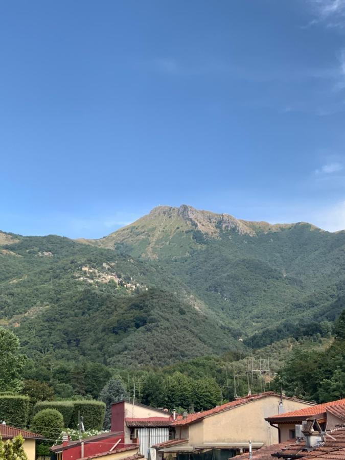 Casa La Wanda - Camaiore Toscana - 2 Bedroom & Terrace Екстериор снимка