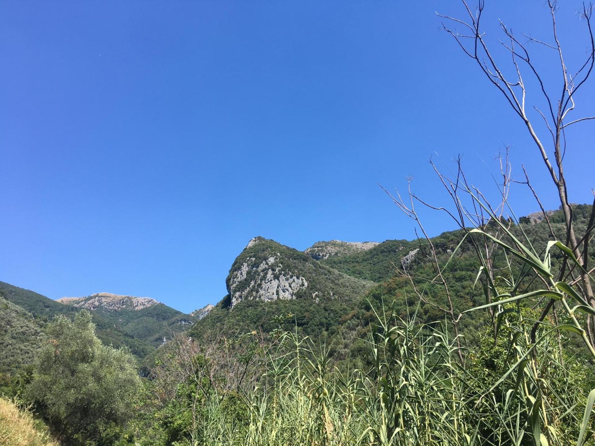 Casa La Wanda - Camaiore Toscana - 2 Bedroom & Terrace Екстериор снимка